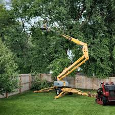 Best Tree Risk Assessment  in Pine Grove Mills, PA