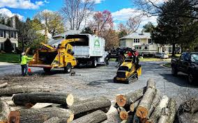 Best Sod Installation  in Pine Grove Mills, PA