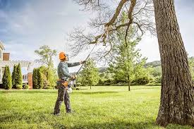 Best Tree Maintenance Programs  in Pine Grove Mills, PA