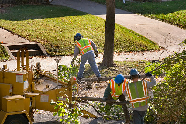 Best Tree Mulching  in Pine Grove Mills, PA