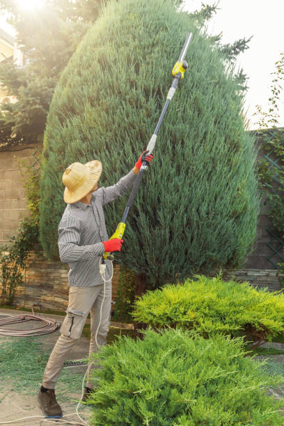 Best Arborist Consultation Services  in Pine Grove Mills, PA